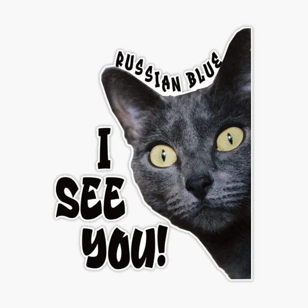 st,extra_large,507x507-pad,