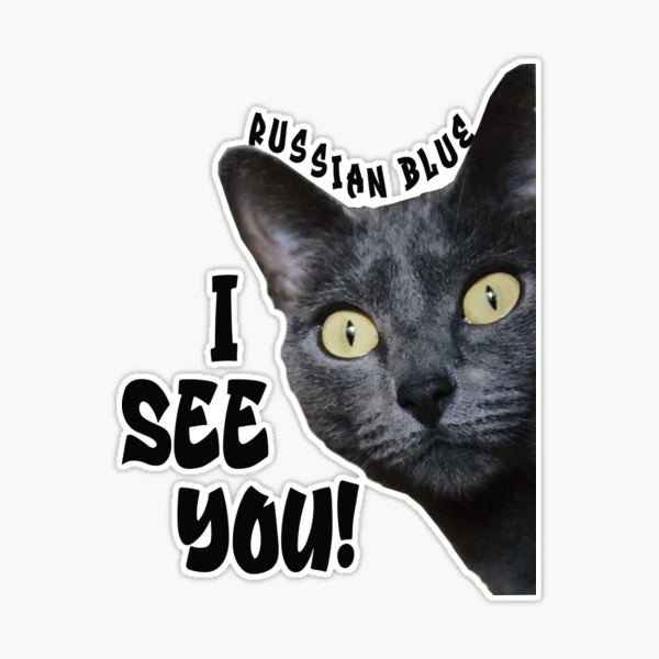 ✧確認用✧blue meme cat✧signature note book✧ sn,x1000-pad,750x1000,f8f8f8.