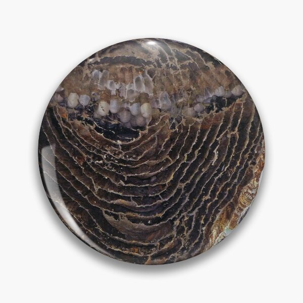 Item preview, Inside of a Hornets Nest designed and sold by Frankie Cat Photography.