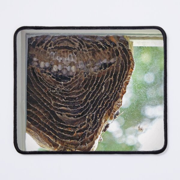 Item preview, Inside of a Hornets Nest designed and sold by Frankie Cat Photography.