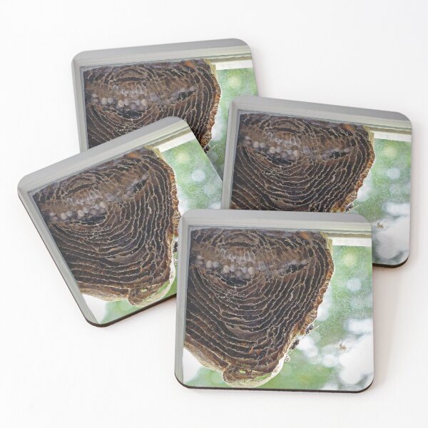 Item preview, Inside of a Hornets Nest designed and sold by Frankie Cat Photography.