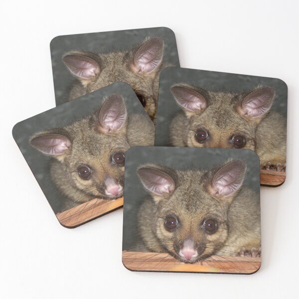 Item preview, Cute Australian Possum with big eyes designed and sold by FranWest.