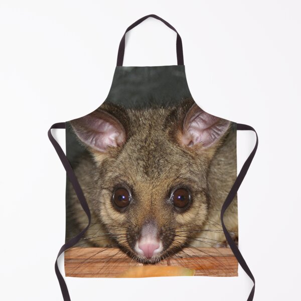 Item preview, Cute Australian Possum with big eyes designed and sold by FranWest.
