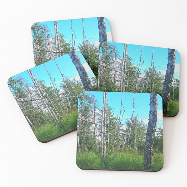 Item preview, Beach birch designed and sold by ArztNacht.