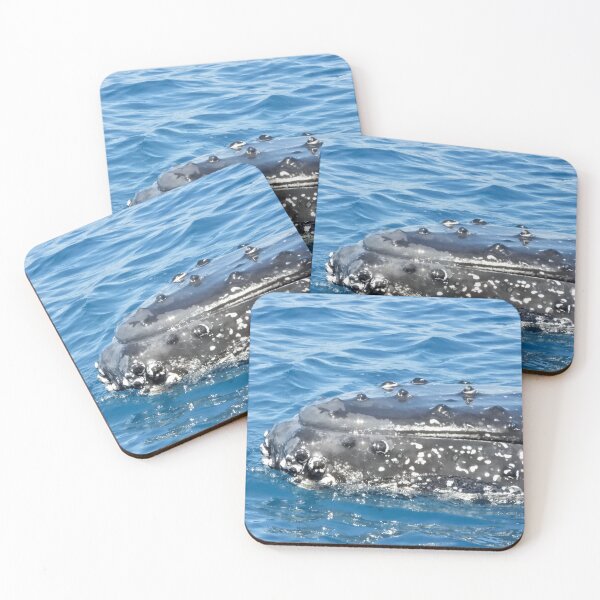 Item preview, Up close to Whales Hervey Bay Queensland  designed and sold by Mark Grimsley.