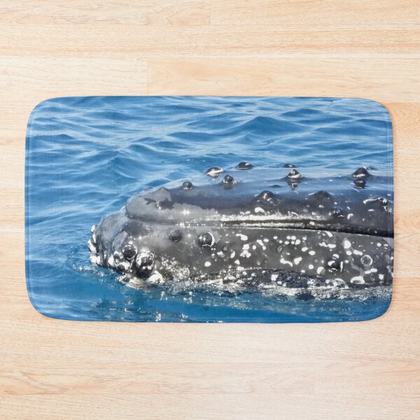 Item preview, Up close to Whales Hervey Bay Queensland  designed and sold by Mark Grimsley.