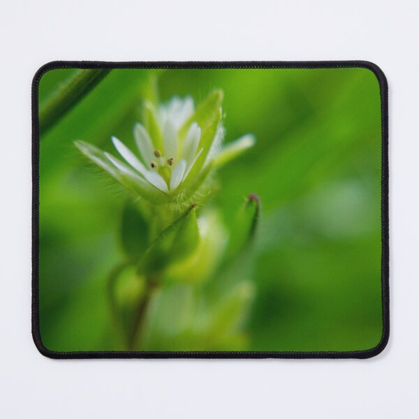 Item preview, Spring Flower designed and sold by EpicWink.