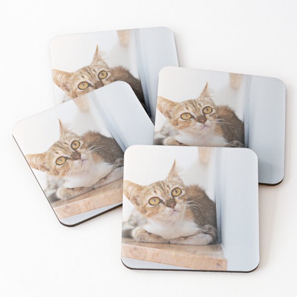 Item preview, cute cat relaxing designed and sold by jojokrap-2023.