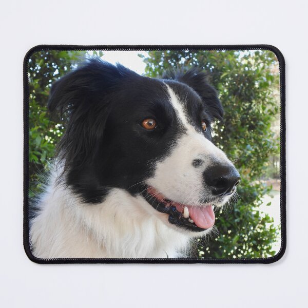 Item preview, Close up of my service assistance dog designed and sold by Mark Grimsley.