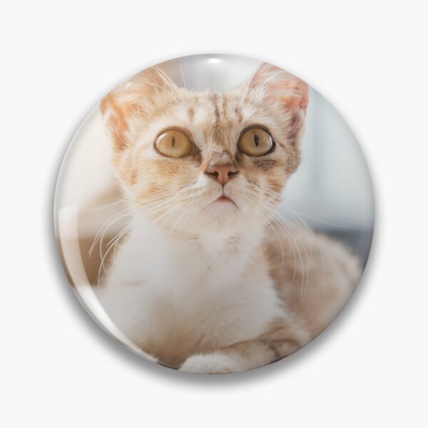 Item preview, What are you looking at? designed and sold by jojokrap-2023.