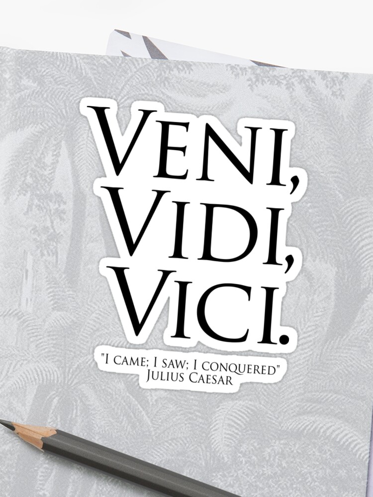 veni vidi vici latin phrases