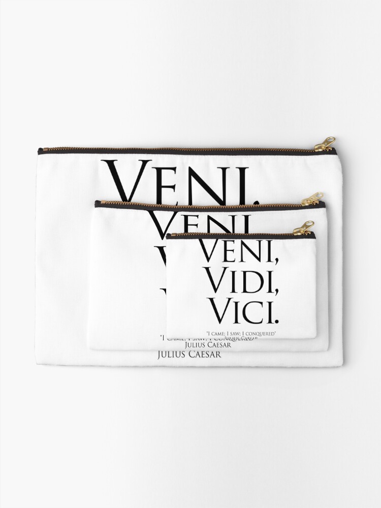 veni vidi vici i came i saw i conquered