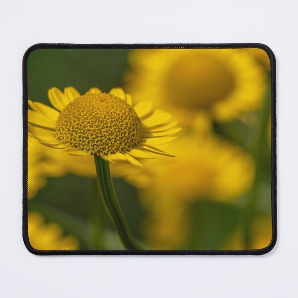 Item preview, Yellow Flower designed and sold by barkeypf.
