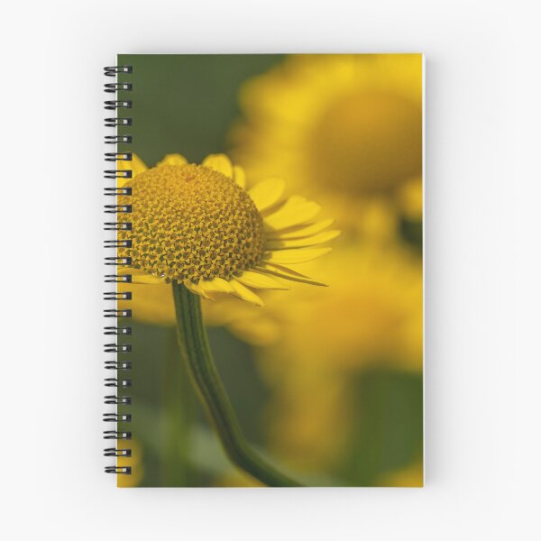 Item preview, Yellow Flower designed and sold by barkeypf.
