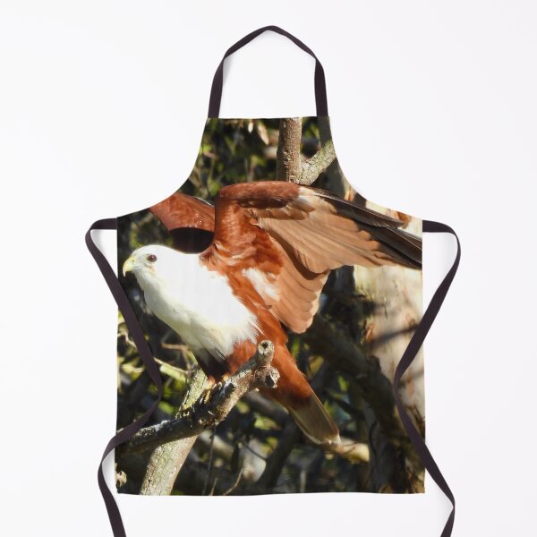 Item preview, brahminy kite take off designed and sold by Mark Grimsley.