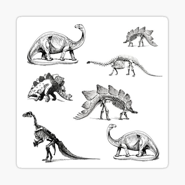 Vintage Museum Dinosaurs | Black and White Sticker