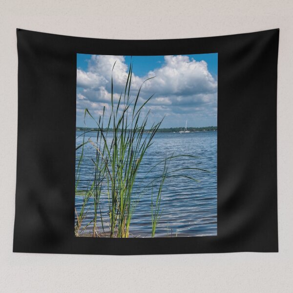 Item preview, Cattails along the Shoreline of Georgian Bay Graphic designed and sold by viaan-tam.