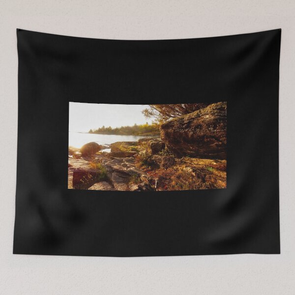 Item preview, Cattails along the Shoreline of Georgian Bay Graphic designed and sold by viaan-tam.