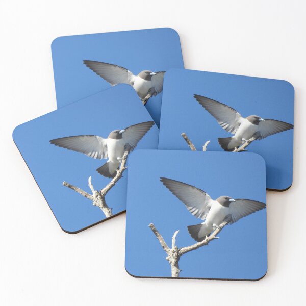 Item preview, White breasted woodswallow take off designed and sold by Mark Grimsley.