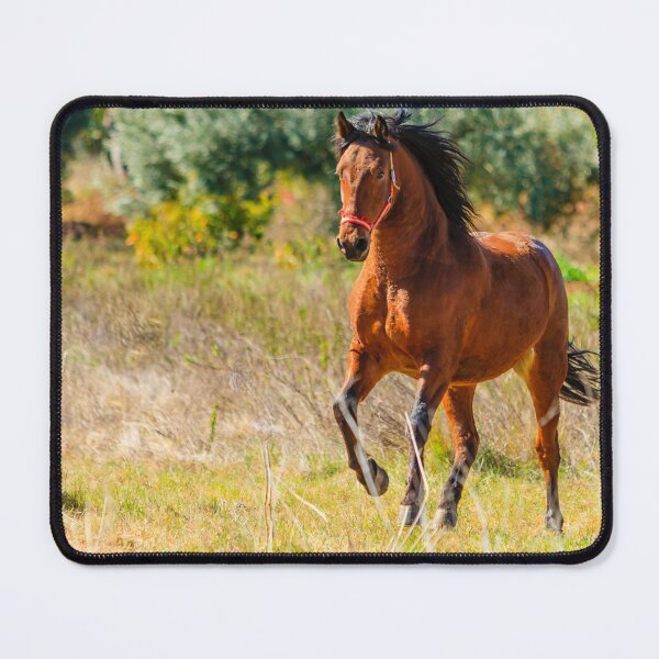 Item preview, Chestnut horse on the run designed and sold by Dalyndigital Photography.
