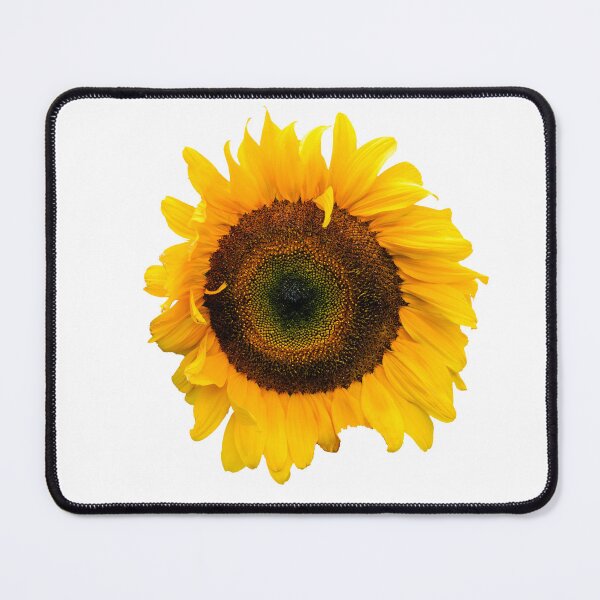Item preview, Sunflower head designed and sold by Dalyndigital Photography.