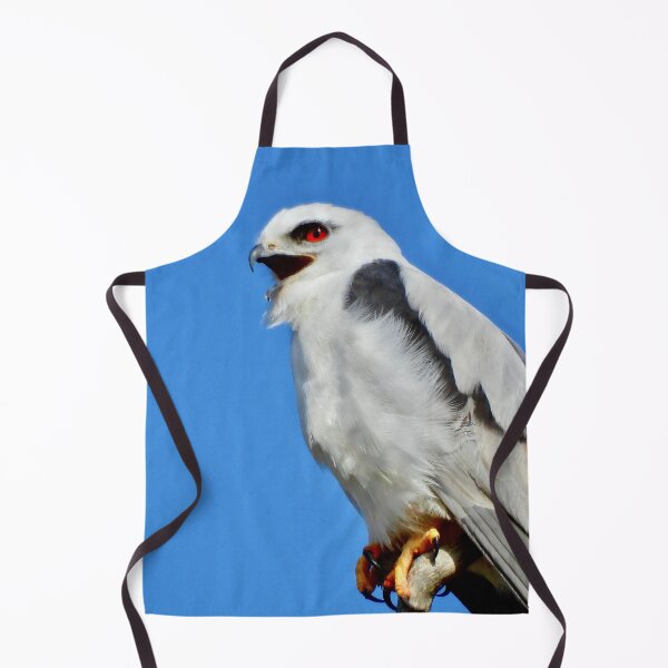 Item preview, Black Shouldered Kite on the beach designed and sold by Mark Grimsley.