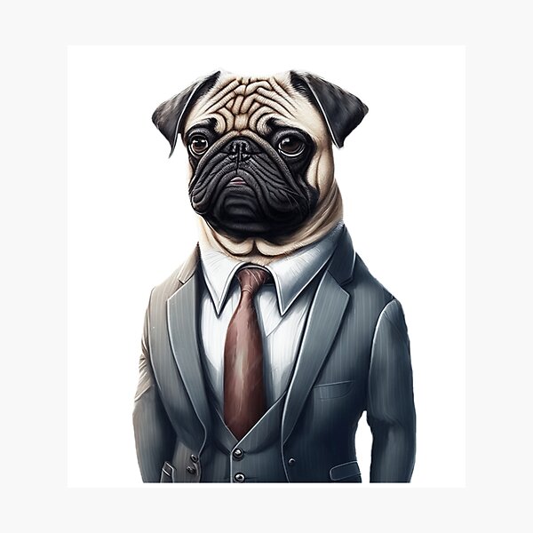 Suit for hot sale pug