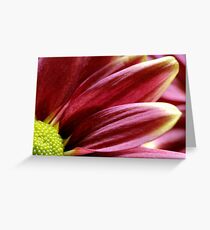 Macro Flower Greeting Card