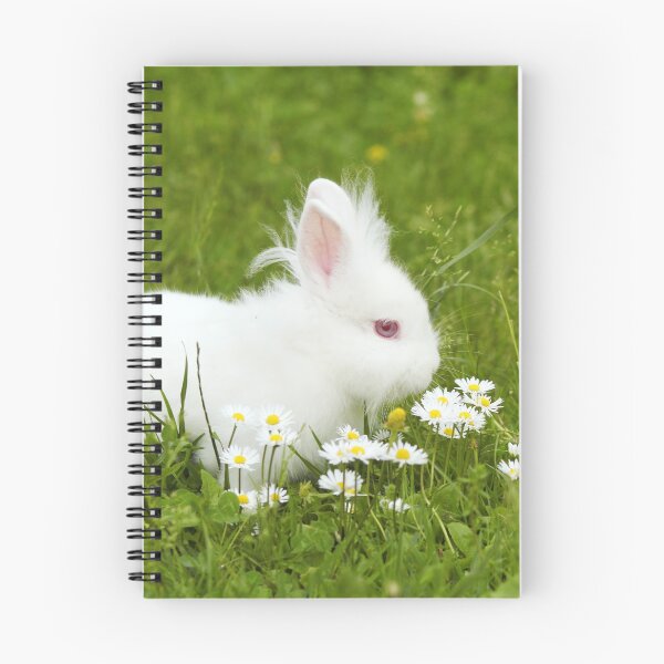 Item preview, white bunny designed and sold by goceris.