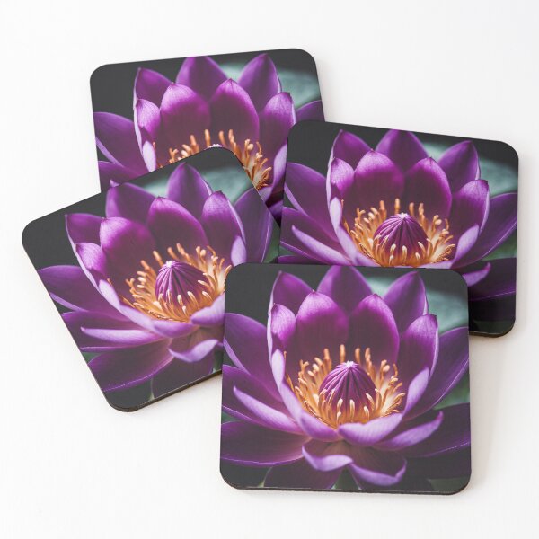 Item preview, Purple lotus flower designed and sold by AngelicArt24.