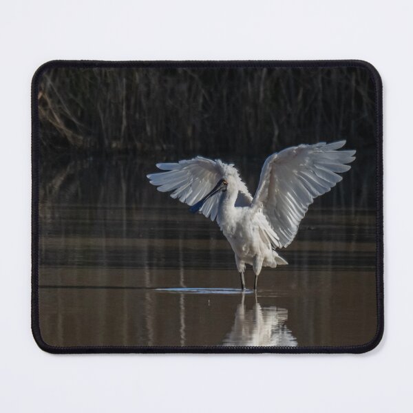Item preview, Ballerina designed and sold by NarrabriCards.