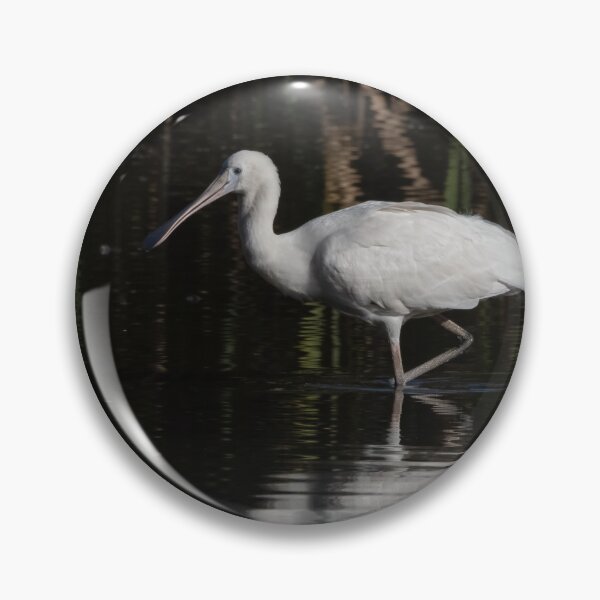 Item preview, White Ibis designed and sold by NarrabriCards.