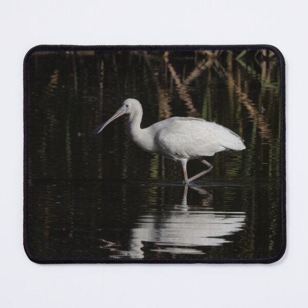 Item preview, White Ibis designed and sold by NarrabriCards.
