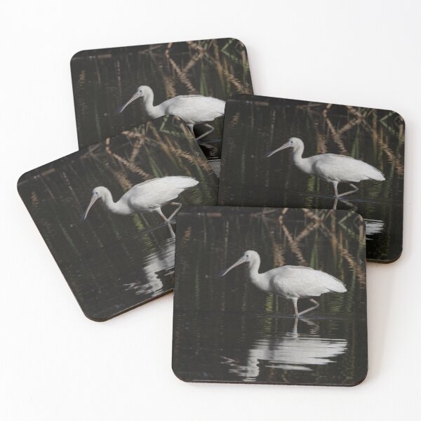 Item preview, White Ibis designed and sold by NarrabriCards.
