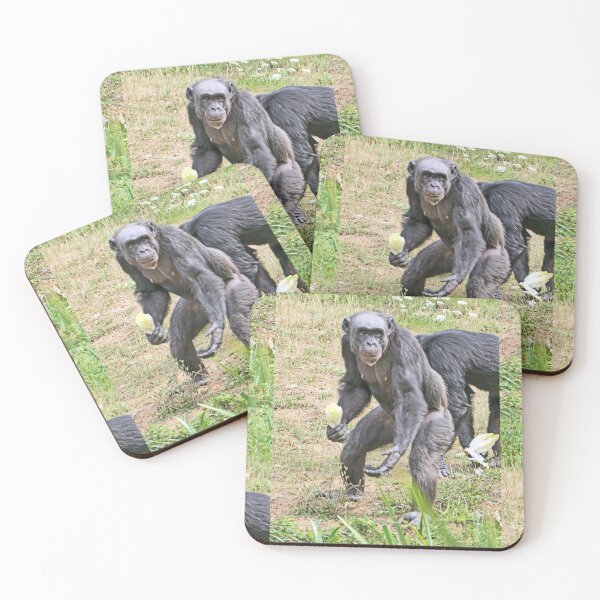 Item preview, vr 3392 / finition 2023  4 - Singes " Les Chimpanzés " Okaio Créations Olavia-Olao designed and sold by o.okaïo.