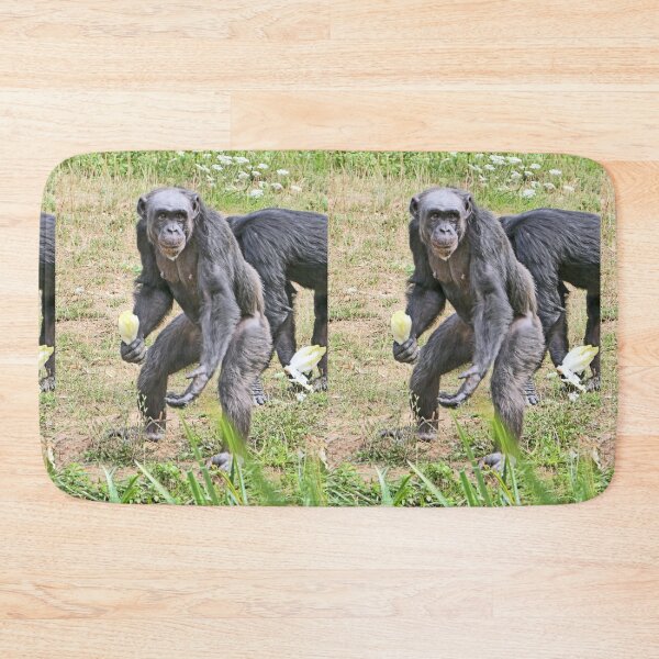 Item preview, vr 3392 / finition 2023  4 - Singes " Les Chimpanzés " Okaio Créations Olavia-Olao designed and sold by o.okaïo.