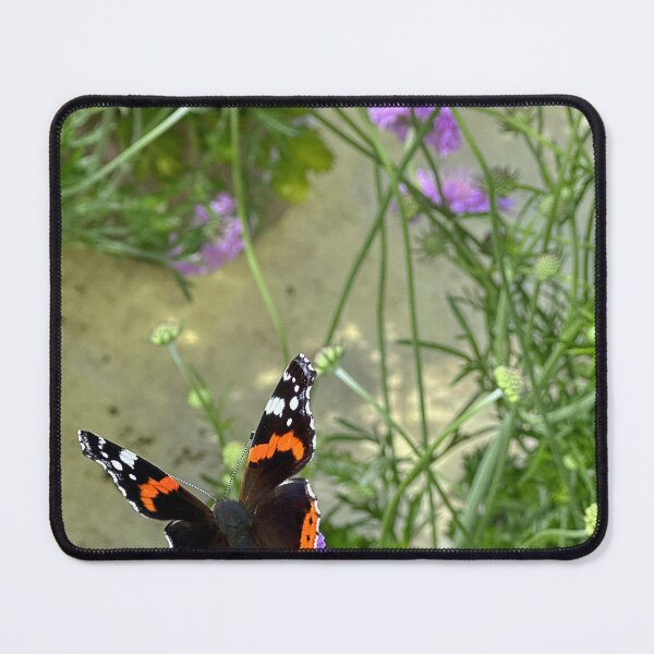 Item preview, Red Admiral designed and sold by Graz-Photos.