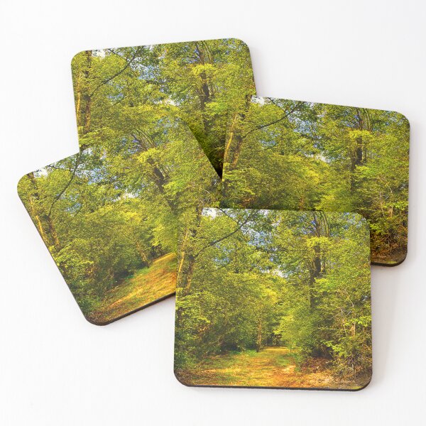Item preview, Secluded Forest designed and sold by Graz-Photos.