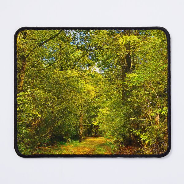 Item preview, Secluded Forest designed and sold by Graz-Photos.