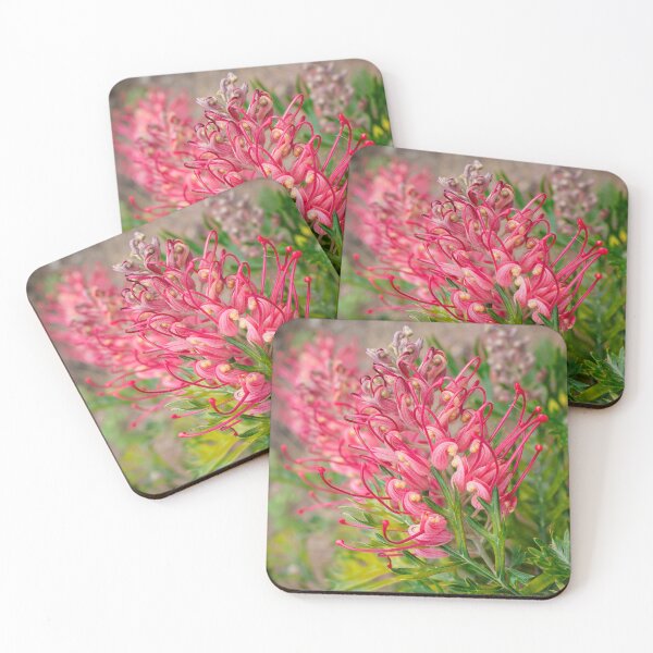 Item preview, Spider flower designed and sold by NarrabriCards.