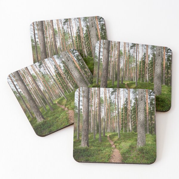 Item preview, The path. Kirkaslamminkangas 5 designed and sold by Jouko Lehto Photography.