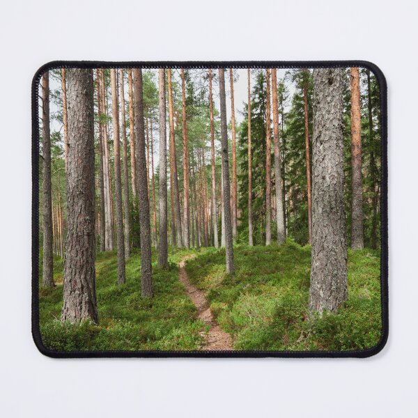 Item preview, The path. Kirkaslamminkangas 5 designed and sold by Jouko Lehto Photography.