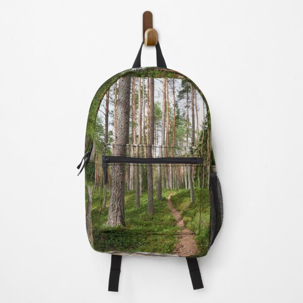 Item preview, The path. Kirkaslamminkangas 5 designed and sold by Jouko Lehto Photography.