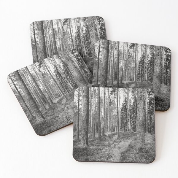 Item preview, The path. .Kirkaslamminkangas 6 bw designed and sold by Jouko Lehto Photography.