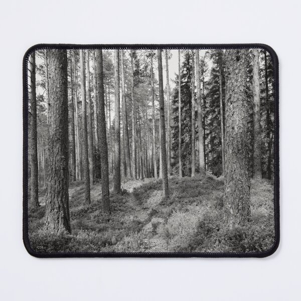 Item preview, The path. .Kirkaslamminkangas 6 bw designed and sold by Jouko Lehto Photography.