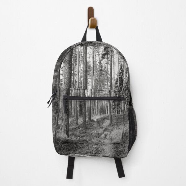 Item preview, The path. .Kirkaslamminkangas 6 bw designed and sold by Jouko Lehto Photography.