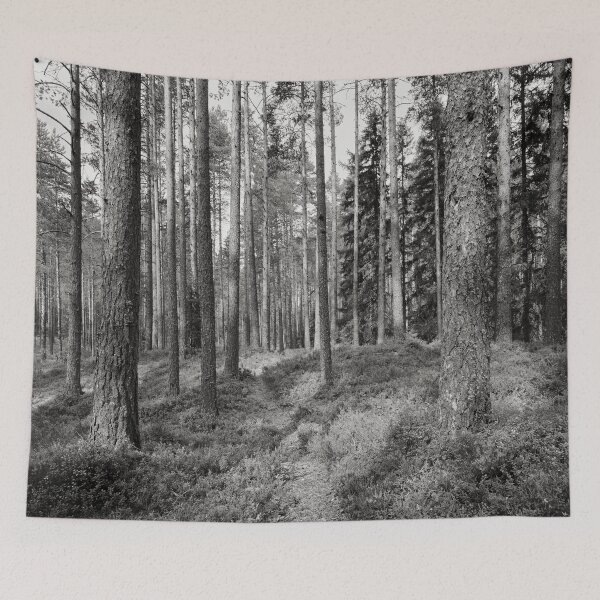 Item preview, The path. .Kirkaslamminkangas 6 bw designed and sold by Jouko Lehto Photography.