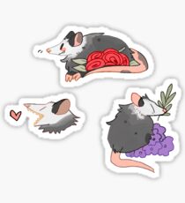 opossum stickers Sticker
