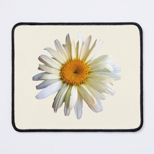 Item preview, Daisy Looking Up designed and sold by Susan Savad.