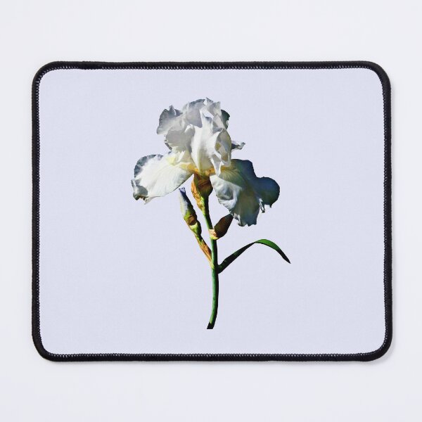 Item preview, White Iris in Sunshine designed and sold by Susan Savad.